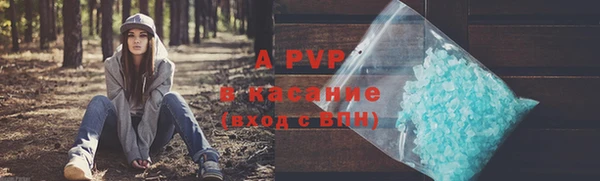 стафф Богородск
