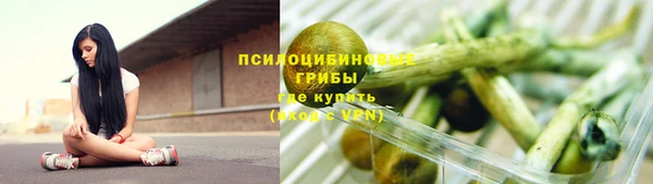 стафф Богородск