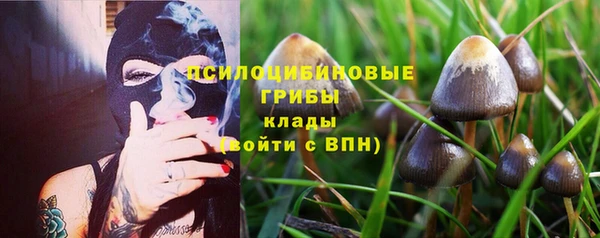 a pvp Богданович